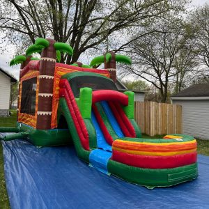 Combo Bounce House Palm